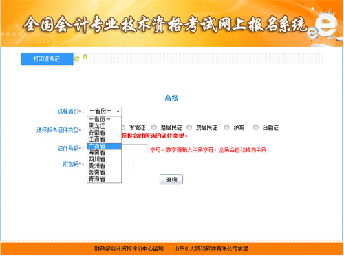 V2013߼(j)(hu)Ӌ(j)(zhn)Cӡ