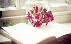 高會(huì)實(shí)務(wù)