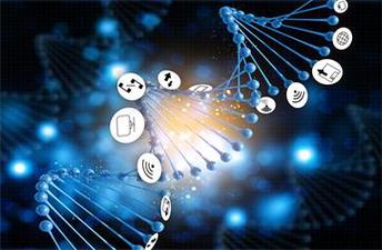 中級(jí)會(huì)計(jì)職稱(chēng)