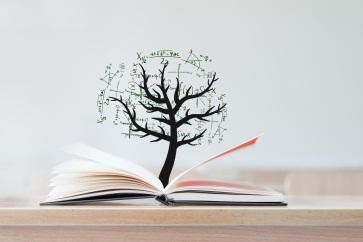 初級(jí)會(huì)計(jì)