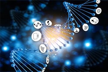 中級會計考務(wù)安排