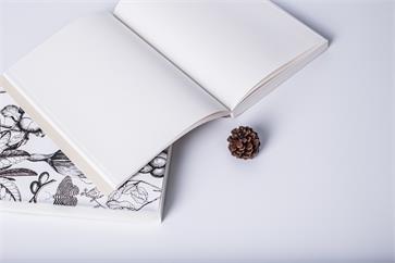 中級(jí)會(huì)計(jì)教材