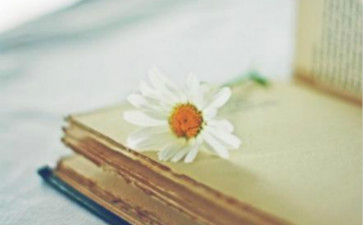 中級(jí)會(huì)計(jì)職稱(chēng)