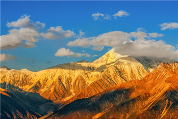 帶你揭開東奧注會《輕松過關(guān)2》的廬山真面貌