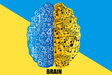 報考注冊會計師要什么學(xué)歷