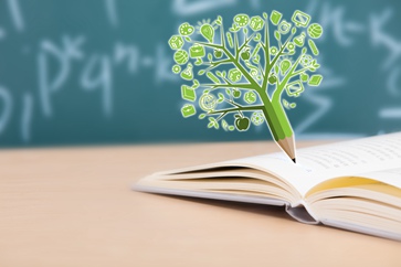 稅務(wù)師考試報(bào)名入口