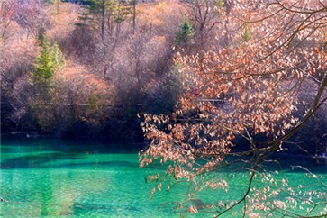 注冊(cè)會(huì)計(jì)師待遇怎么樣？就業(yè)前景如何？