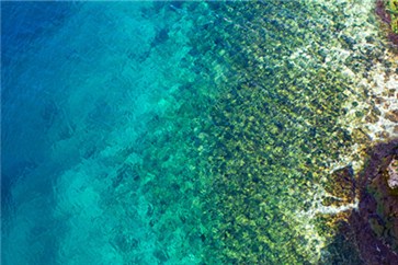 2018年湖南注會(huì)有補(bǔ)報(bào)名嗎？報(bào)名條件是什么？