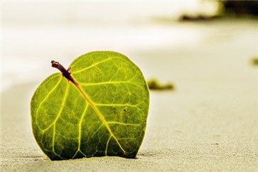 2018注冊會計師考試會很難嗎？應該幾年內考完？