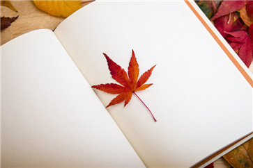 注會(huì)備考進(jìn)度