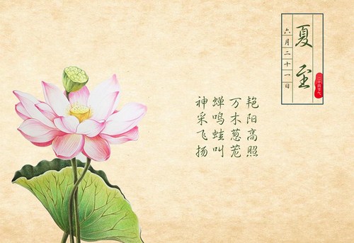 復(fù)習(xí)注冊(cè)會(huì)計(jì)師效率低的原因，看看你中槍了沒？