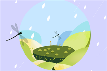 注會工作前景好嗎？待遇怎么樣？