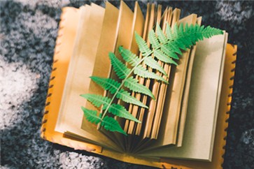 注冊會計師通過率怎么樣？對于求職有幫助嗎？