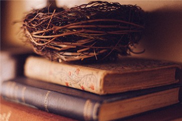 注會(huì)考試科目時(shí)間安排，會(huì)計(jì)科目有什么特殊安排？