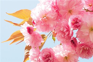 想通過(guò)注會(huì)綜合？那么備考必須對(duì)癥下藥！