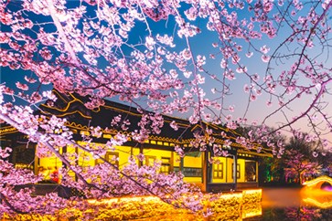 四川省注冊會計師考試時間，綜合階段備考如何分配時間？