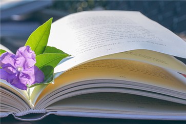 河南省注冊會計師考試時間？各類題型有什么答題技巧？