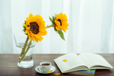 《中級財務(wù)管理》沖刺階段學(xué)習(xí)計劃