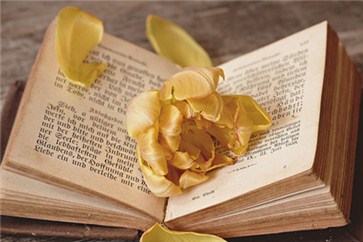 2019年注會(huì)報(bào)名條件，準(zhǔn)備報(bào)考的考生看過來