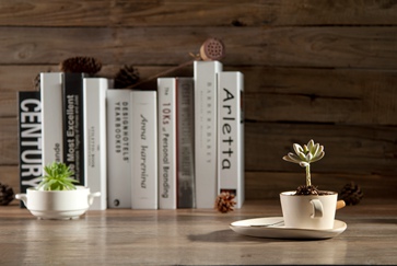 《涉稅服務實務》學習方法