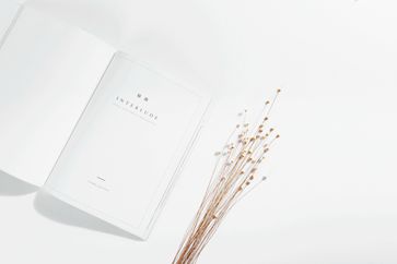 《稅務(wù)檢查證管理辦法》發(fā)布，明年1月1日起實(shí)施