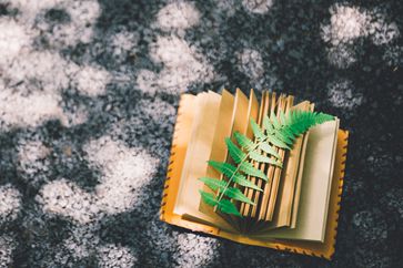 稅務(wù)師是什么？薪資待遇怎么樣？