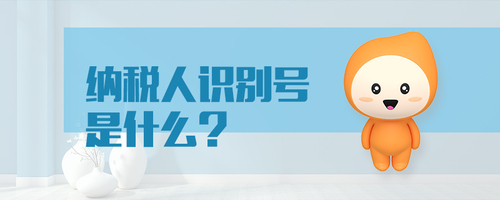 納稅人識(shí)別號(hào)是什么 納稅人識(shí)別號(hào)是什么
