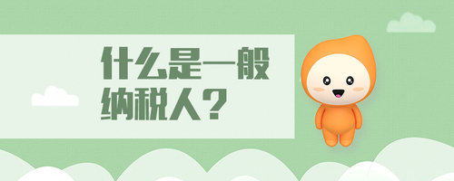 什么是一般納稅人 什么是一般納稅人