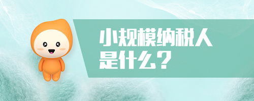 小規(guī)模納稅人是什么 小規(guī)模納稅人是什么