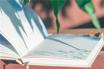 注會迎來了新考季，你想好該如何備考了嗎？