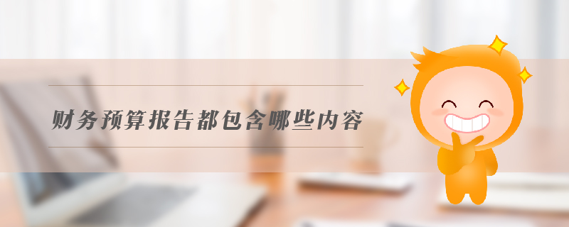 財(cái)務(wù)預(yù)算報告都包含哪些內(nèi)容 財(cái)務(wù)預(yù)算報告都包含哪些內(nèi)容