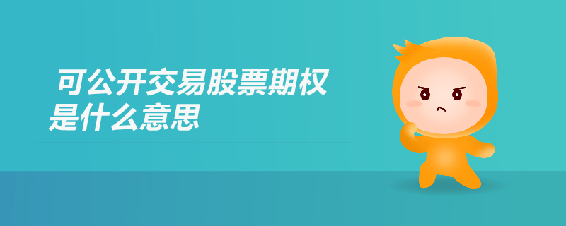 可公開交易股票期權(quán)是什么意思