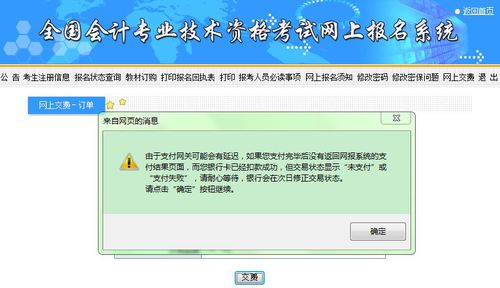 初級(jí)會(huì)計(jì)支付界面