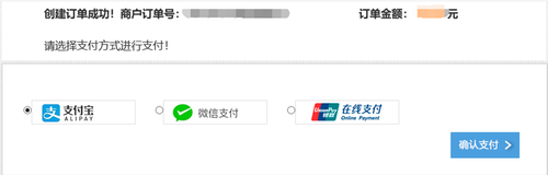 初級(jí)會(huì)計(jì)支付說(shuō)明