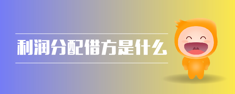 利潤(rùn)分配借方是什么