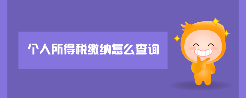 個人所得稅繳納怎么查詢