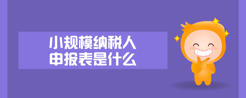 小規(guī)模納稅人申報表是什么 小規(guī)模納稅人申報表是什么