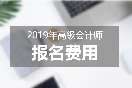 2019年高級會計師報名費(fèi)用