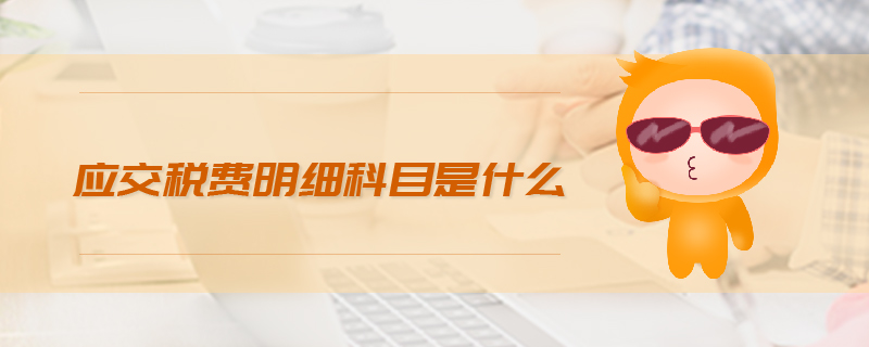 應(yīng)交稅費(fèi)明細(xì)科目是什么 應(yīng)交稅費(fèi)明細(xì)科目是什么