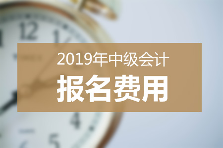 青海2019年中級(jí)會(huì)計(jì)職稱(chēng)報(bào)名費(fèi)用已公布
