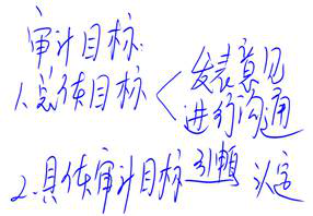 注冊會計師 注冊會計師