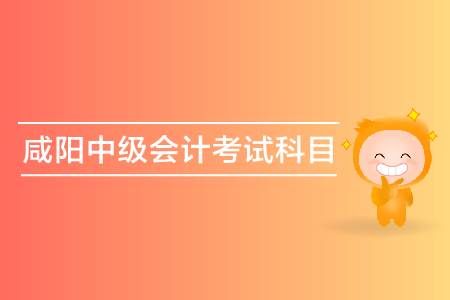 咸陽2019年中級會計考試科目都有什么？