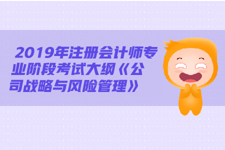 2019年注冊會計師《戰(zhàn)略》大綱變動都有哪些？