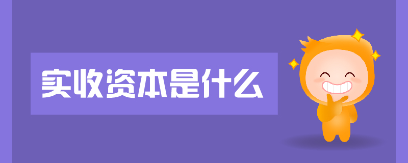 實(shí)收資本是什么