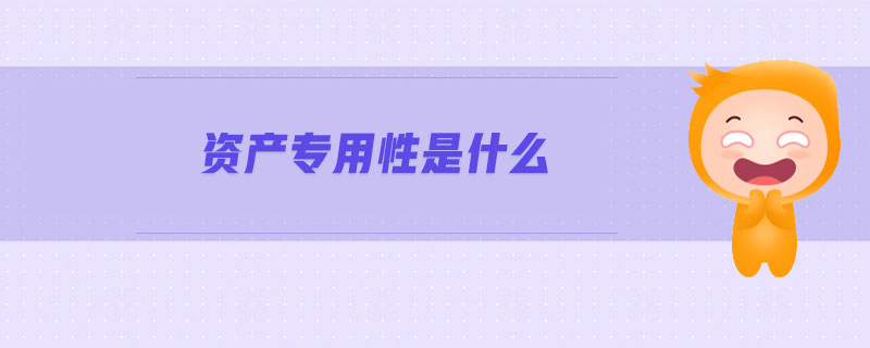 資產(chǎn)專用性是什么 資產(chǎn)專用性是什么