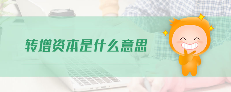 轉(zhuǎn)增資本是什么意思