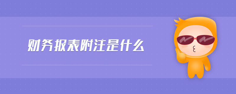 財務(wù)報表附注是什么