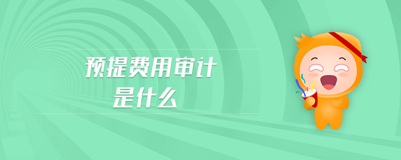 預提費用審計是什么 預提費用審計是什么