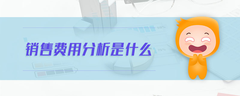 銷售費(fèi)用分析是什么