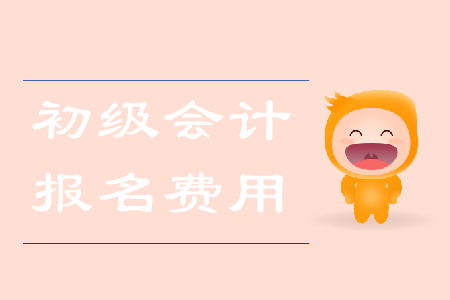 黑龍江2019年初級(jí)會(huì)計(jì)報(bào)名費(fèi)財(cái)政電子票據(jù)推送